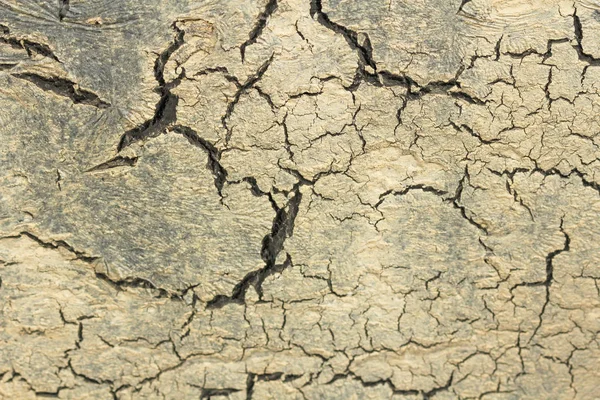 ベージュとグレーの背景に黒い亀裂。グレーとベージュの背景。不毛の地球乾燥したひび割れた地球の背景。ひび割れの土壌.割れテクスチャ。干ばつ地環境干ばつ. — ストック写真