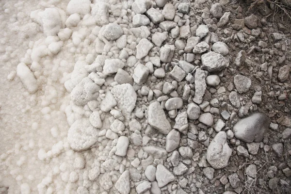 背景的石头与渐变从白色到灰色 用盐覆盖的石头 俄罗斯 Baskunchak 盐湖海岸 — 图库照片