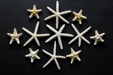 Deniz yıldızı siyah arka planda yatar. Güzel deniz arka planı ya da tatil ve rahatlama için kapak.