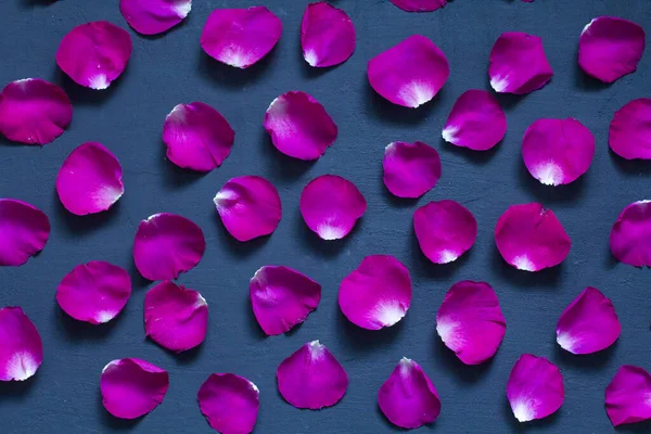 Beautiful background of single rose petals. Scarlet rose petals lie one on a black modern background. Beautiful card Valentine\'s Day, romance and love. Flat lay, top view. Copy space for your text.