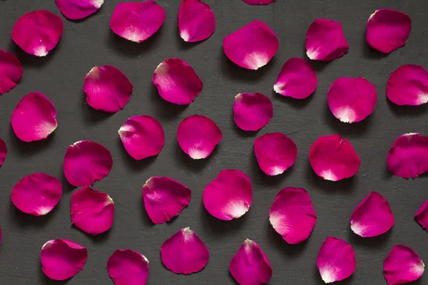 Buy Wholesale Red Rose Petals in Bulk - FiftyFlowers