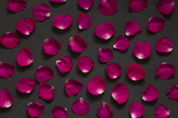 Beautiful background of single rose petals. Scarlet rose petals lie one on a black modern background. Beautiful card Valentine\'s Day, romance and love. Flat lay, top view. Copy space for your text.