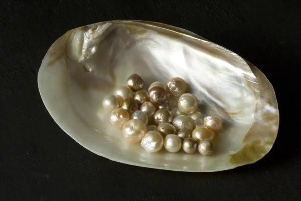 Open Sea Shell with a pearl. Closeup of a sea shell with pearls inside, on a black background. Natural Kasumi pearls lie in a sea shell. Beautiful Pearls for jewelry. Creating pearl jewelry.