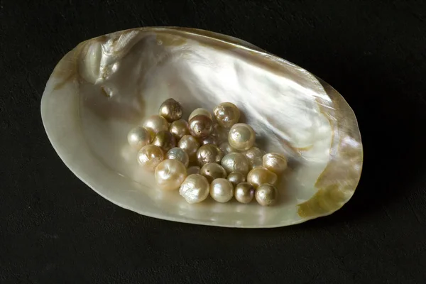 Open Sea Shell with a pearl. Closeup of a sea shell with pearls inside, on a black background. Natural Kasumi pearls lie in a sea shell. Beautiful Pearls for jewelry. Creating pearl jewelry.