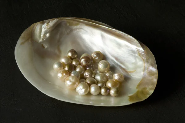 Open Sea Shell with a pearl. Closeup of a sea shell with pearls inside, on a black background. Natural Kasumi pearls lie in a sea shell. Beautiful Pearls for jewelry. Creating pearl jewelry.