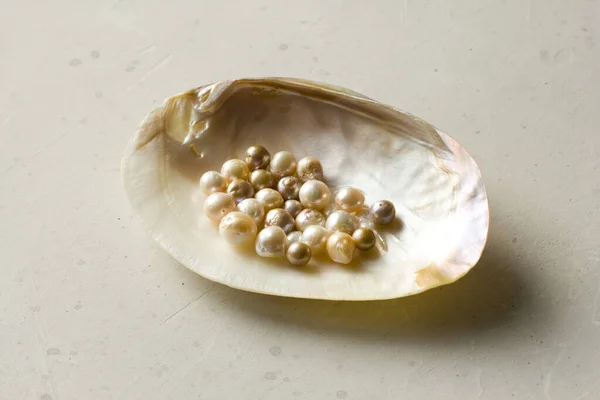 Abra Sea Shell Com Uma Pérola Fechar Uma Concha Mar — Fotografia de Stock