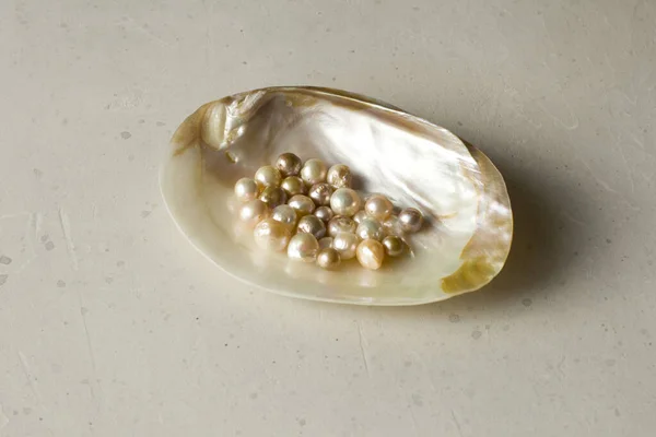Open Sea Shell with a pearl. Closeup of a sea shell with pearls inside, on a white gray background. Natural Kasumi pearls lie in a sea shell. Beautiful Pearls for jewelry. Creating pearl jewelry.