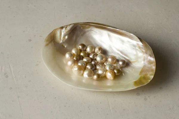 Open Sea Shell with a pearl. Closeup of a sea shell with pearls inside, on a white gray background. Natural Kasumi pearls lie in a sea shell. Beautiful Pearls for jewelry. Creating pearl jewelry.