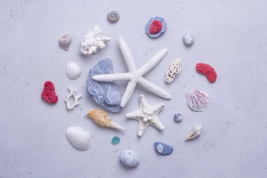 Güzel beyaz deniz yıldızları, deniz kabukları, kırmızı, beyaz ve mavi mercanlar, cam, deniz taşları açık gri, modern beton zemin üzerinde uzanır. Plajda yaz tatili kavramı. Yaz tatili için parlak bir deniz kartı..