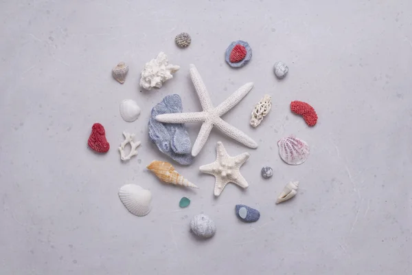 Beautiful white starfish, shells, red, white and blue corals, glass, sea pebbles lie on light gray modern concrete background. Concept of summertime on beach. Bright nautical postcard summer holidays.