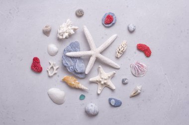 Güzel beyaz deniz yıldızları, deniz kabukları, kırmızı, beyaz ve mavi mercanlar, cam, deniz taşları açık gri, modern beton zemin üzerinde uzanır. Plajda yaz tatili kavramı. Yaz tatili için parlak bir deniz kartı..