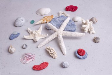 Güzel beyaz deniz yıldızları, deniz kabukları, kırmızı, beyaz ve mavi mercanlar, cam, deniz taşları açık gri, modern beton zemin üzerinde uzanır. Plajda yaz tatili kavramı. Yaz tatili için parlak bir deniz kartı..