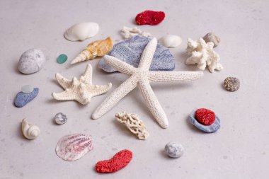Güzel beyaz deniz yıldızları, deniz kabukları, kırmızı, beyaz ve mavi mercanlar, cam, deniz taşları açık gri, modern beton zemin üzerinde uzanır. Plajda yaz tatili kavramı. Yaz tatili için parlak bir deniz kartı..