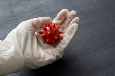 Beyaz lateks eldivenin içinde siyah arka planda kırmızı koronavirüs örneği bulunur. Coronavirüs salgını, koronavirüs gribi salgın hastalık gibi tehlikeli grip salgını vakaları.