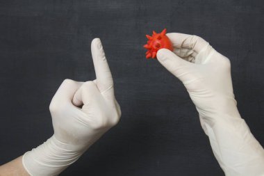 Hand in white medical disposable rubber latex glove shows middle finger to red coronavirus in another rubber glove. Fuck you. Protective disposable gloves protect against viruses, coronavirus.