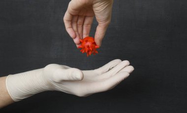 Elleri eldivensiz kırmızı koronavirüsü tutuyor, elini siyah arka planda, beyaz, tek kullanımlık plastik eldivene sokmak istiyor. Virüslere karşı koruyucu tek kullanımlık eldivenler, bakteriler.