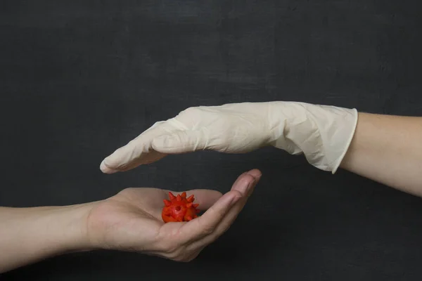 Hand without a glove holds dangerous red coronavirus, hand in white medical disposable rubber latex glove closes, destroys virus, on black background. protective disposable gloves against viruses.