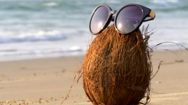 砂の背景を背景に ビーチや海にサングラスをかけて茶色のココナッツ アジアの熱帯果実 フルーツアートとユーモア コピースペース付きデザイン — ストック動画