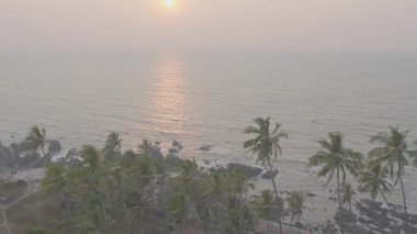 Mavi gökyüzüne ve günbatımına karşı hindistan cevizli yeşil güzel palmiyeler. Güzel tropikal ve egzotik arka plan veya manzara. Boşluğu Kopyala.