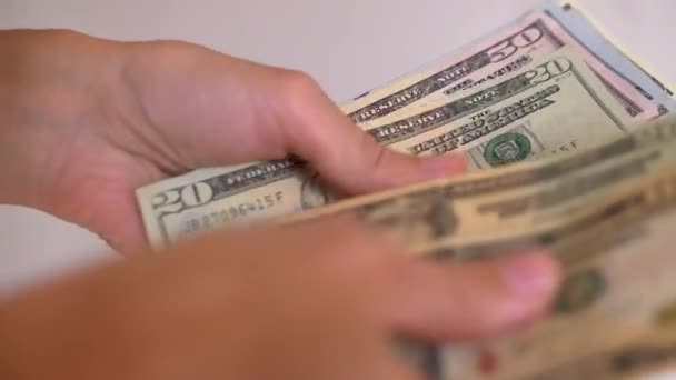 Les Mains Des Femmes Comptent Recalculent Papier Dollars Américains Différentes — Video