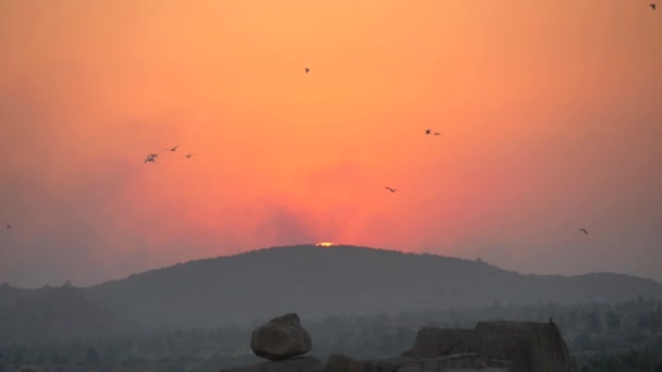 Las Bandadas Aves Vuelan Lentamente Sobre Fondo Del Atardecer Del — Vídeos de Stock