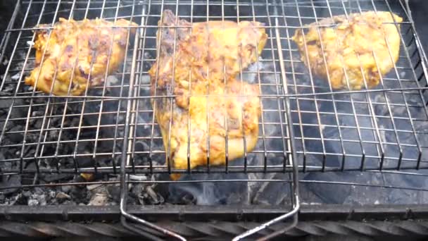 Barbekü Izgarasında Tavuk Eti Pişirmek Siyah Koyu Demir Izgarada Doğada — Stok video