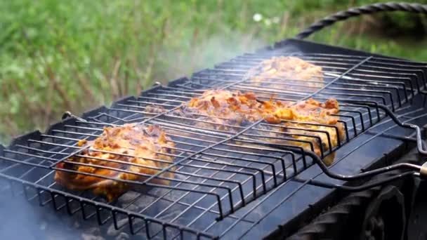 Cucinare Carne Pollo Una Griglia Barbecue Una Griglia Ferro Nero — Video Stock