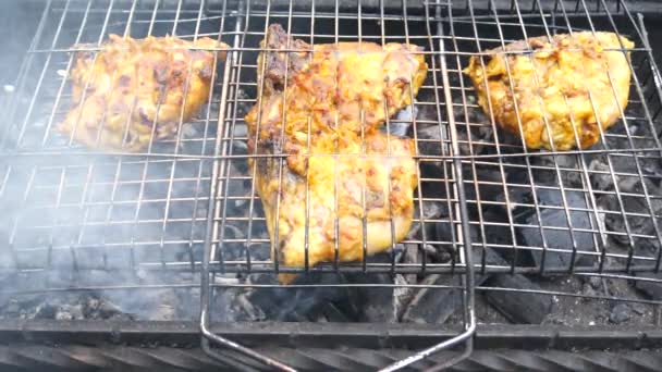 Lager Kyllingkjøtt Grillen Svart Eller Mørk Jerngrill Naturen Røyk Damp – stockvideo