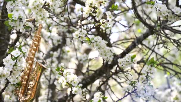 Gyllene Alt Saxofon Miniatyr Som Hänger Ett Blommande Träd Med — Stockvideo