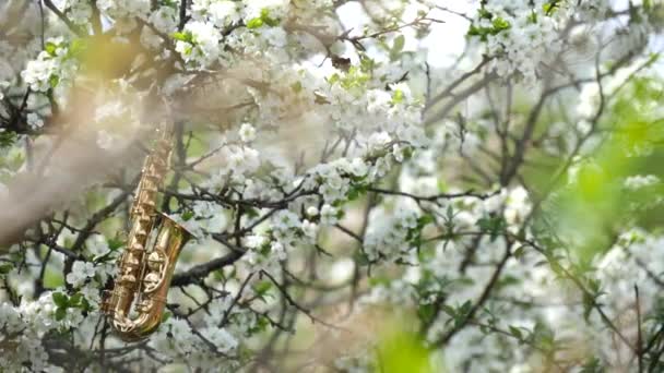 Saxofón Alto Dorado Miniatura Colgado Árbol Con Flores Blancas Resplandor — Vídeos de Stock
