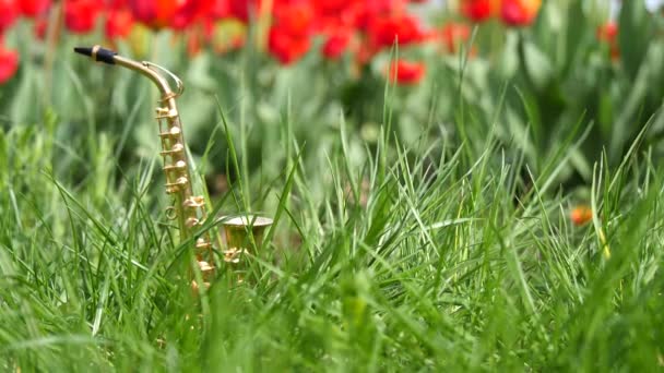 Saxofón Alto Dorado Miniatura Encuentra Hierba Verde Sobre Fondo Tulipanes — Vídeos de Stock