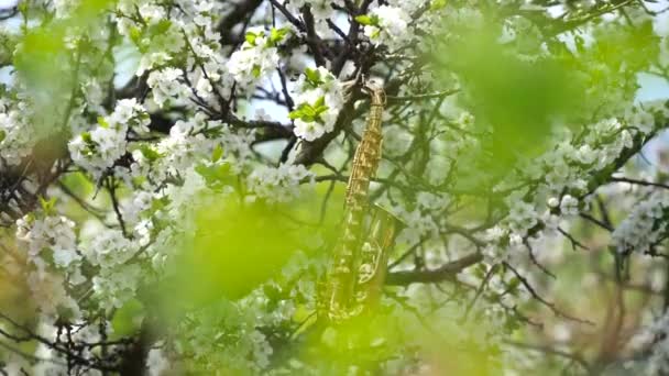 Saxofón Alto Dorado Miniatura Colgado Árbol Con Flores Blancas Resplandor — Vídeo de stock