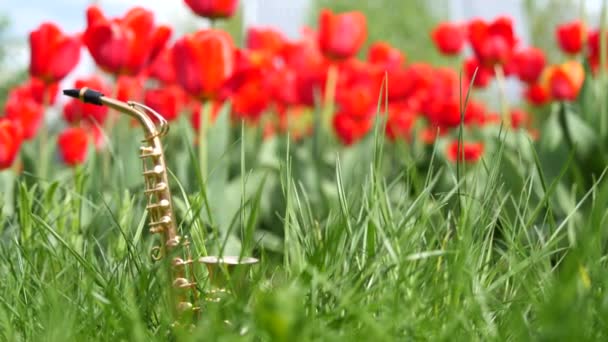 Saxofón Alto Dorado Miniatura Encuentra Hierba Verde Sobre Fondo Tulipanes — Vídeo de stock