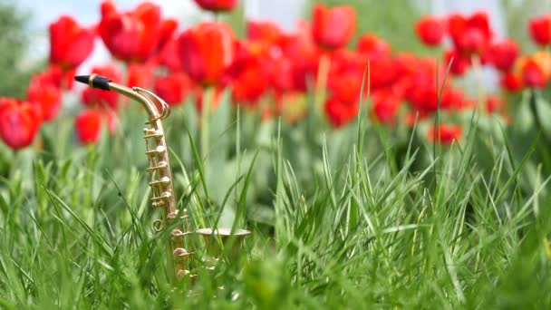 Saxofone Alt Dourado Miniatura Fica Grama Verde Contra Fundo Tulipas — Vídeo de Stock