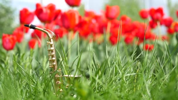 Saxofón Alto Dorado Miniatura Encuentra Hierba Verde Sobre Fondo Tulipanes — Vídeo de stock