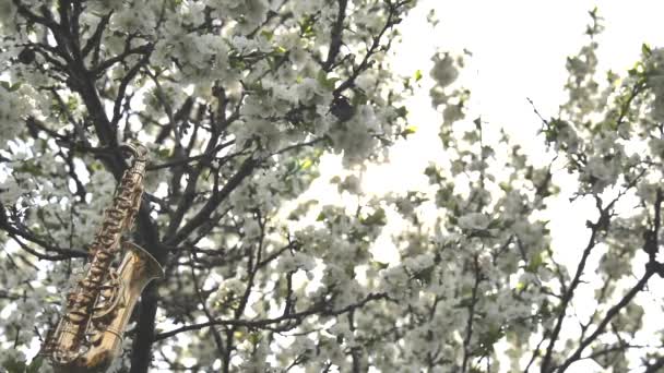 Saxofón Alto Dorado Miniatura Colgado Árbol Con Flores Blancas Resplandor — Vídeos de Stock