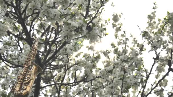 Saxophone Alt Doré Miniature Accroché Arbre Fleurs Blanches Éclat Soleil — Video