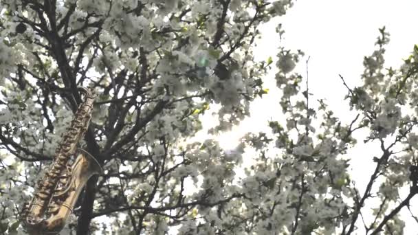 Saxofón Alto Dorado Miniatura Colgado Árbol Con Flores Blancas Resplandor — Vídeo de stock