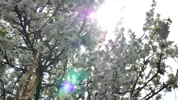 Saxofón Alto Dorado Miniatura Colgado Árbol Con Flores Blancas Resplandor — Vídeo de stock