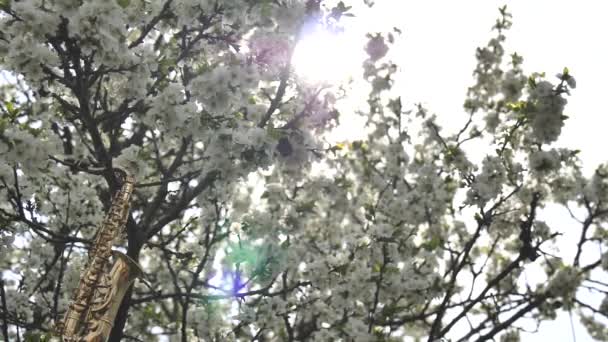 Saxofón Alto Dorado Miniatura Colgado Árbol Con Flores Blancas Resplandor — Vídeo de stock