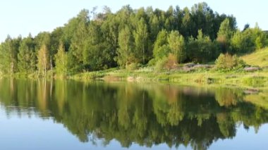Yeşil huş ağaçları yazın suya yansıtılır. Güzel Rus doğası, sudaki ağaçların ayna yansıması. Yaz manzarası, ağaçlar ve orman sulara yansıyor..