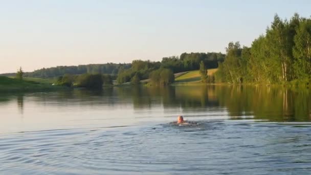 Young Bald Man Swims Crawl Brass Open Pond Lake River — Stock Video