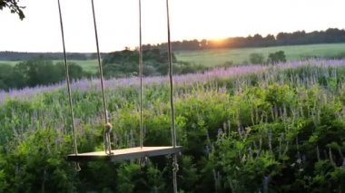 Boş ahşap köy salıncakları canlı bir meşe dalına tutunur ve kırsal kesimde, yeşil orman ve günbatımında yaz doğasının zeminine vurur. Yalnızlık, romantizm, taşra tarzı ve rahatlama..