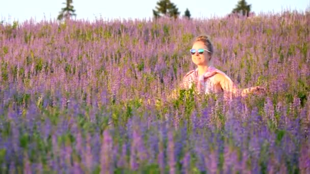 A young caucasian girl with bunch on her head and sunglasses, walks along summer field of wild lilac or purple flowers of dying peas and touches them with her hands, against sunset. Walk in nature.