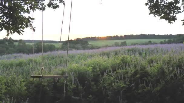 空荡荡的木村秋千挂在鲜活的橡木枝头上 在乡村 绿林和夕阳的背景下摇曳着 乡村风格和放松 — 图库视频影像