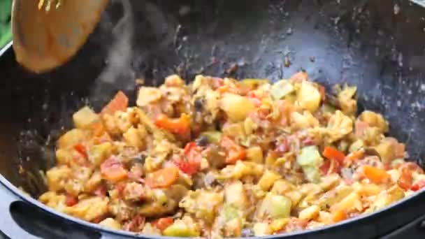 Beautiful Juicy Vegetable Stew Vegetarian Cuisine Close Large Spoon Ladle — Stock Video