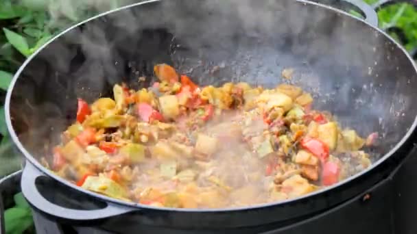 Steamed Vegetables Bright Multi Colored Vegetable Stew Close Steam Ladies — Stock Video