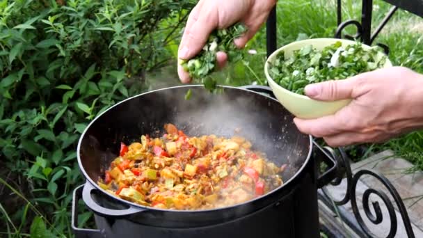 Uma Mão Masculina Acrescenta Polvilha Verdes Com Prato Legumes Ensopado — Vídeo de Stock