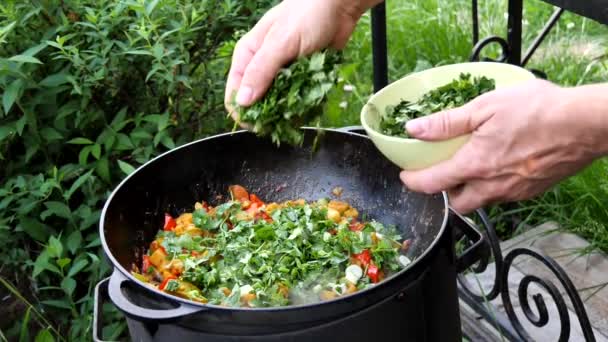 Una Mano Maschile Aggiunge Spruzza Verdure Con Piatto Verdure Stufato — Video Stock