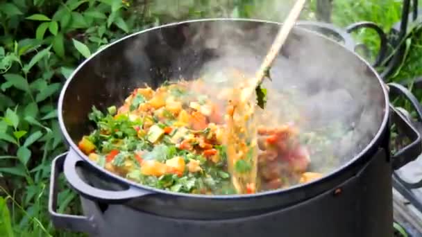 Krásné Šťavnaté Zeleninové Dušené Maso Vegetariánská Kuchyně Velká Lžíce Naběračka — Stock video